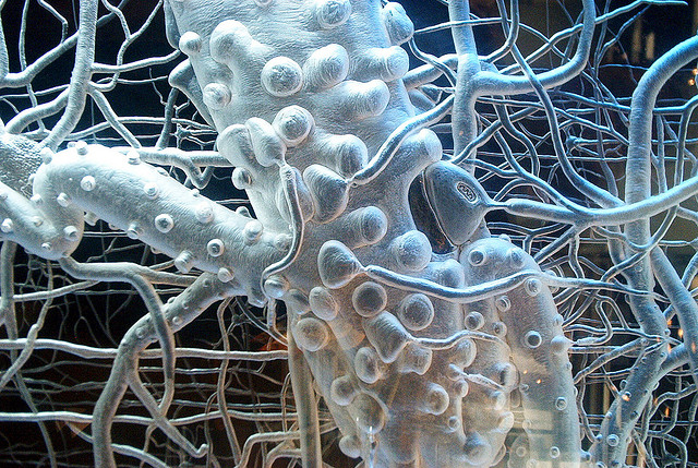 Flickr - Nerve - Cutting Monkey
