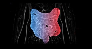 guts Eliminate Candida naturally