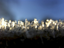 ice