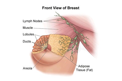 Mammogram