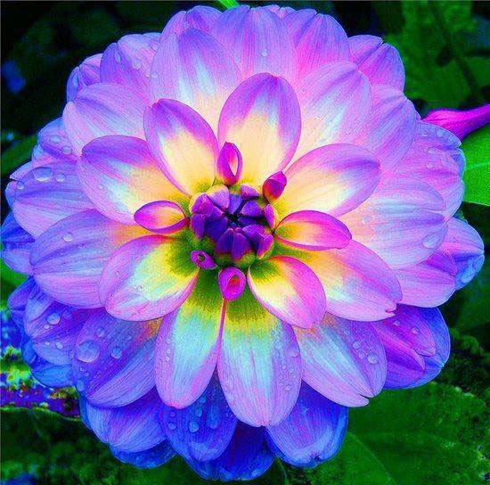 Inspiring Article. Integrative Energy Medicine Institute