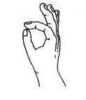 chin