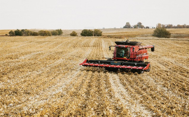 field